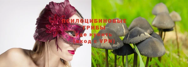 каннабис Каменка